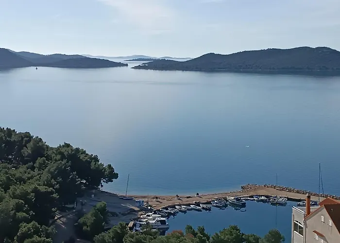 Srdarovic 3 아파트