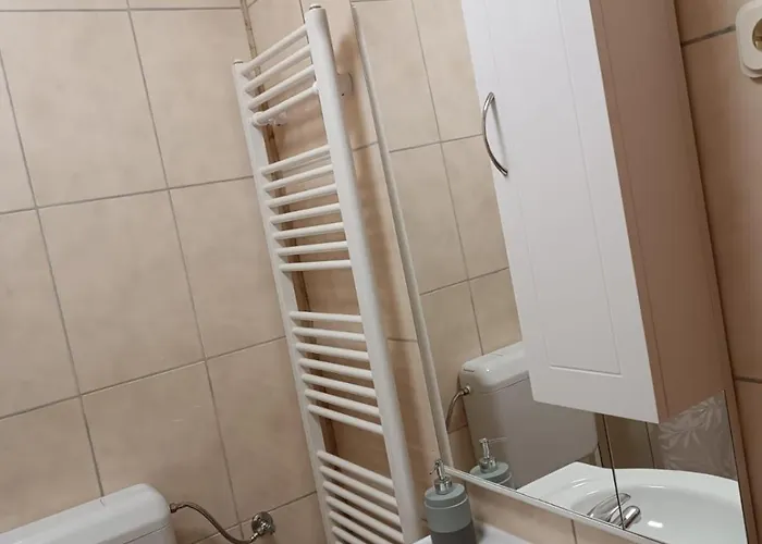 Srdarovic 3 公寓 德拉格